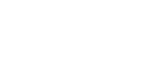 cibersecurity