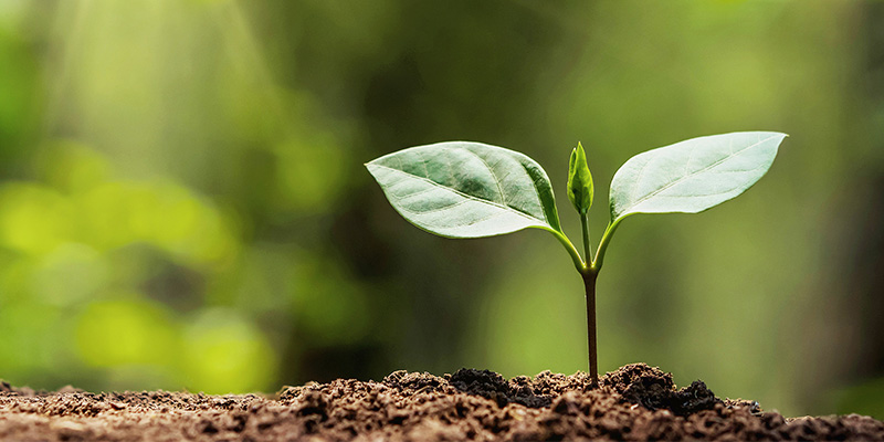 Blog: IA verde: mitigación de emisiones y eficiencia energética
