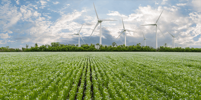 Blog: Industria 5.0