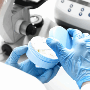 Uptodate del Expediente de Información y Evaluación de Seguridad de Cosméticos