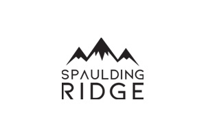 SPAULDING RIDGE PLATINUM ControllerDay